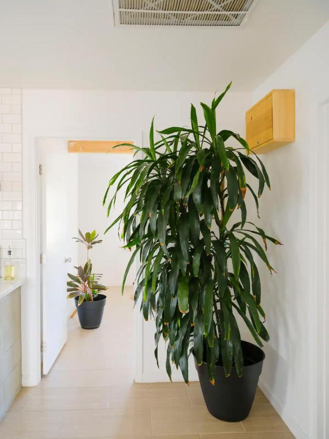 The Zen - Outdoor Shower, Gas Fireplace, Walkable To Shops & Restaurants Joshua Tree Ngoại thất bức ảnh